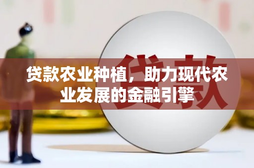 新店贷款农业种植，助力现代农业发展的金融引擎