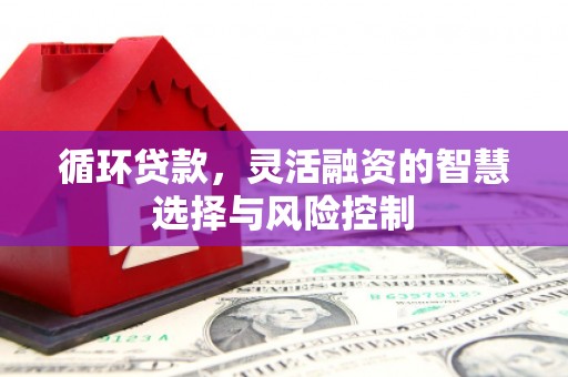 新店循环贷款，灵活融资的智慧选择与风险控制