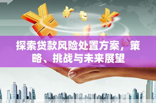 新店探索贷款风险处置方案，策略、挑战与未来展望