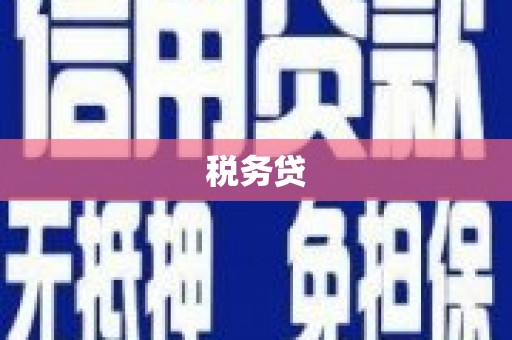 新店税务贷