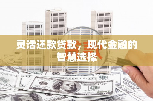 新店灵活还款贷款，现代金融的智慧选择