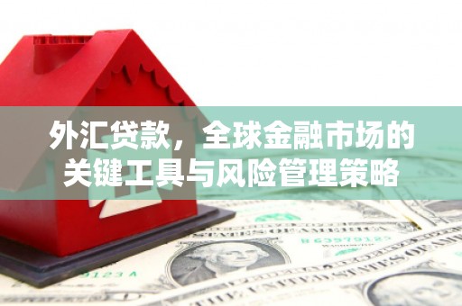 新店外汇贷款，全球金融市场的关键工具与风险管理策略