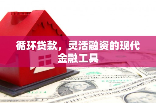 新店循环贷款，灵活融资的现代金融工具