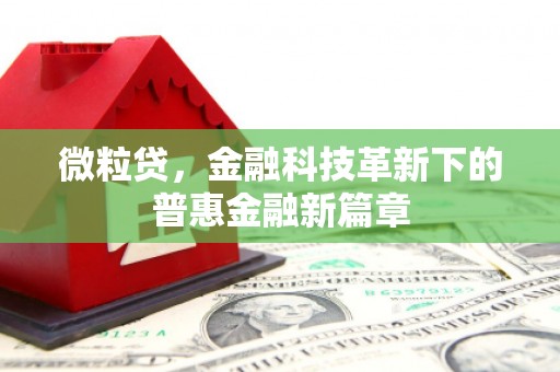新店微粒贷，金融科技革新下的普惠金融新篇章