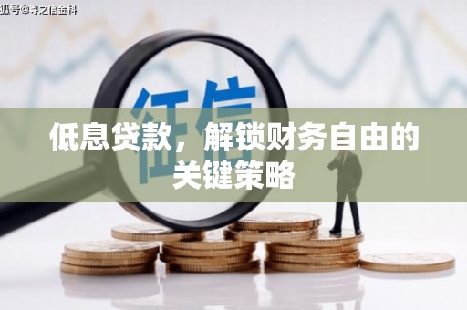 新店低息贷款，解锁财务自由的关键策略