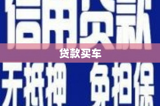 新店贷款买车