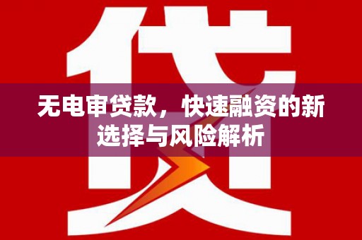 新店无电审贷款，快速融资的新选择与风险解析