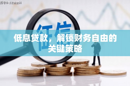 新店低息贷款，解锁财务自由的关键策略