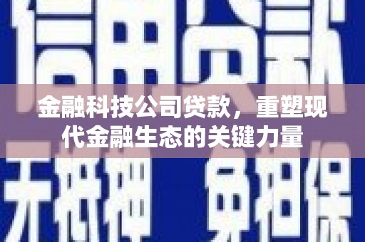 新店金融科技公司贷款，重塑现代金融生态的关键力量