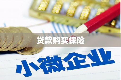 新店贷款购买保险