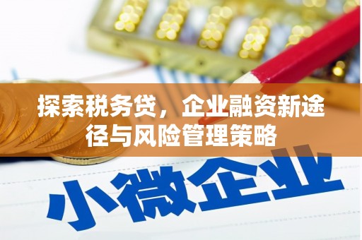 新店探索税务贷，企业融资新途径与风险管理策略