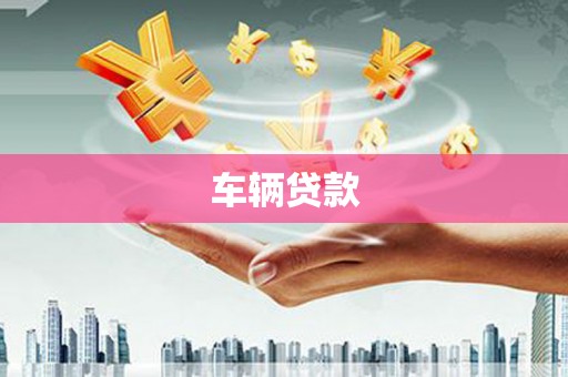 新店车辆贷款