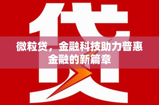 新店微粒贷，金融科技助力普惠金融的新篇章