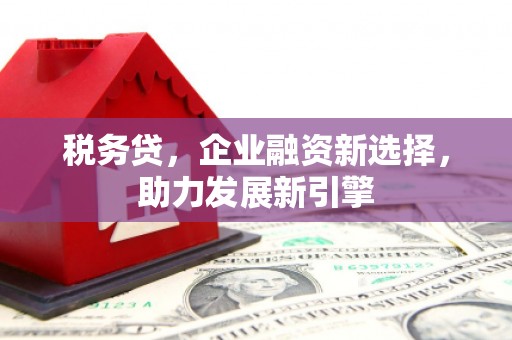 新店税务贷，企业融资新选择，助力发展新引擎