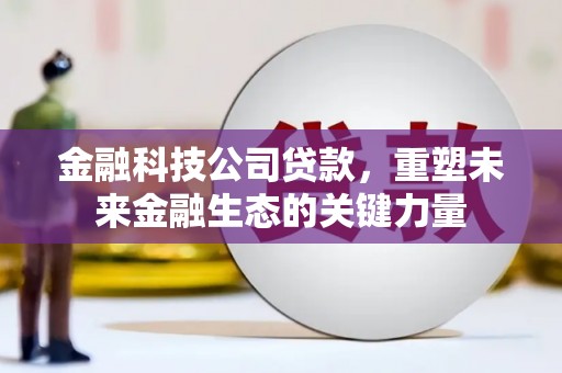 新店金融科技公司贷款，重塑未来金融生态的关键力量