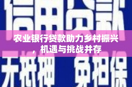 新店农业银行贷款助力乡村振兴，机遇与挑战并存