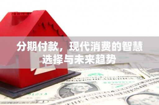 新店分期付款，现代消费的智慧选择与未来趋势