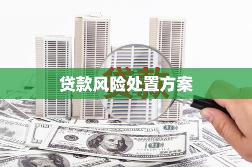 新店贷款风险处置方案