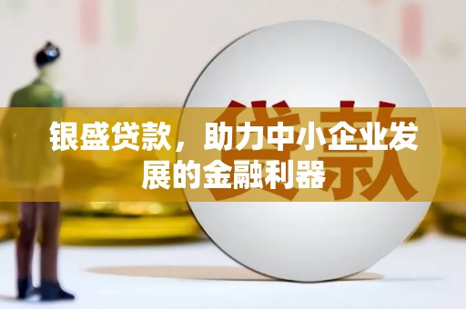 新店银盛贷款，助力中小企业发展的金融利器