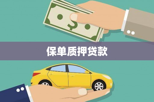 新店保单质押贷款