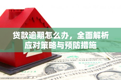 新店贷款逾期怎么办，全面解析应对策略与预防措施