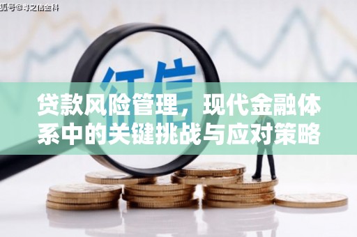新店贷款风险管理，现代金融体系中的关键挑战与应对策略