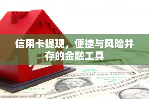 新店信用卡提现，便捷与风险并存的金融工具