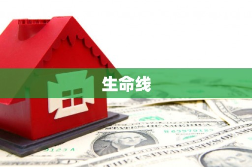 新店生命线