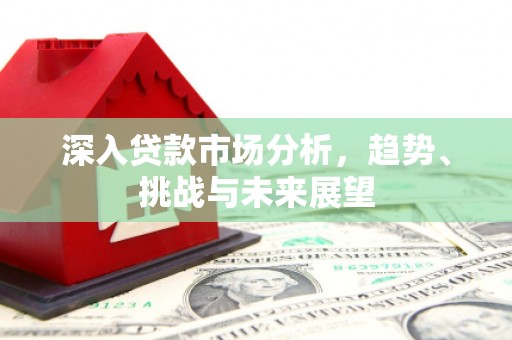 新店深入贷款市场分析，趋势、挑战与未来展望