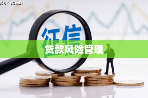 新店贷款风险管理