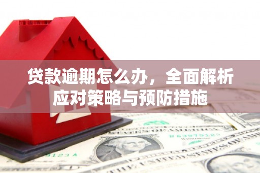新店贷款逾期怎么办，全面解析应对策略与预防措施