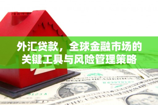 新店外汇贷款，全球金融市场的关键工具与风险管理策略