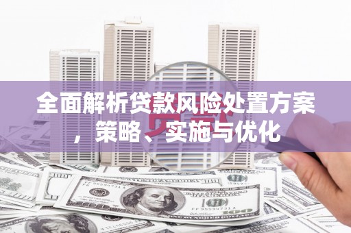 新店全面解析贷款风险处置方案，策略、实施与优化