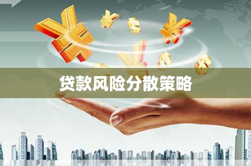 新店贷款风险分散策略