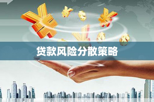 新店贷款风险分散策略
