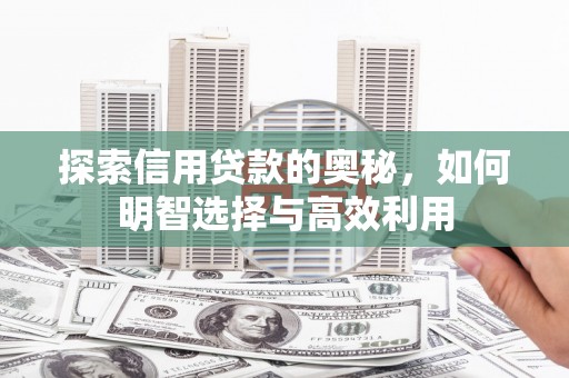 新店探索信用贷款的奥秘，如何明智选择与高效利用