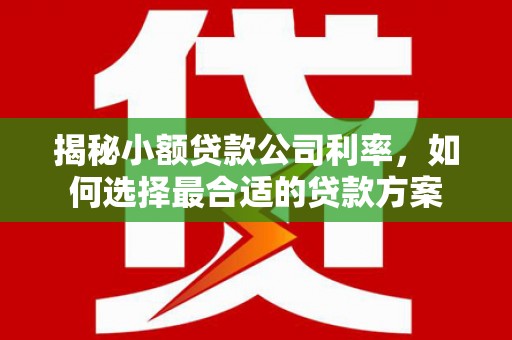 新店揭秘小额贷款公司利率，如何选择最合适的贷款方案