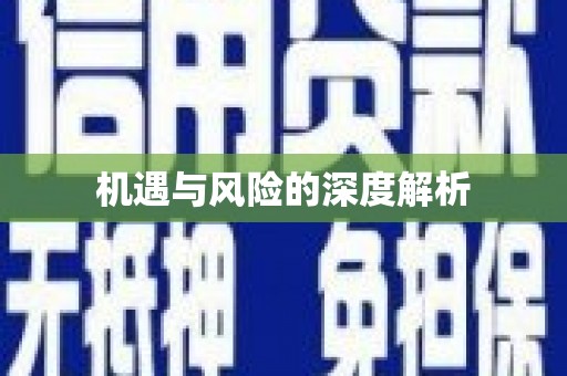 新店机遇与风险的深度解析