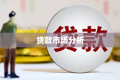 新店贷款市场分析