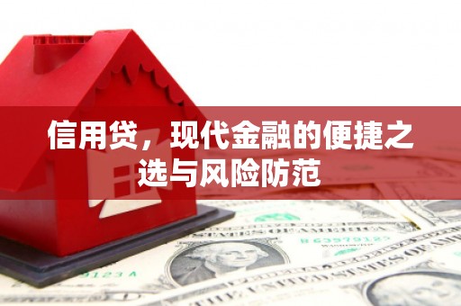 新店信用贷，现代金融的便捷之选与风险防范
