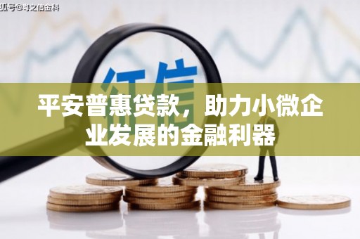 新店平安普惠贷款，助力小微企业发展的金融利器