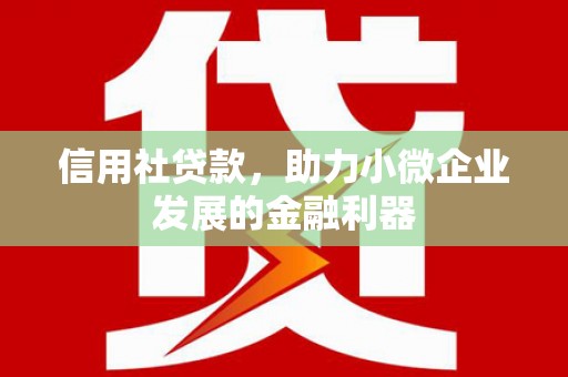 新店信用社贷款，助力小微企业发展的金融利器