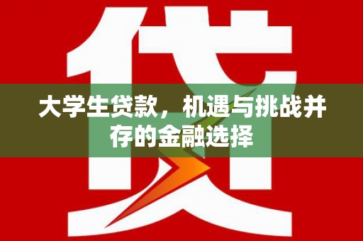 新店大学生贷款，机遇与挑战并存的金融选择