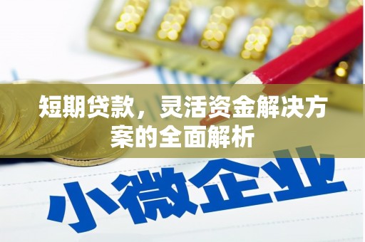 新店短期贷款，灵活资金解决方案的全面解析