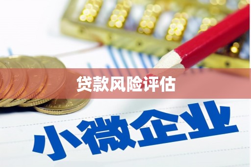 新店贷款风险评估