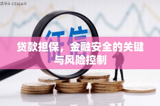 新店贷款担保，金融安全的关键与风险控制