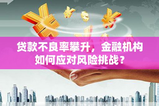新店贷款不良率攀升，金融机构如何应对风险挑战？