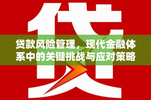 新店贷款风险管理，现代金融体系中的关键挑战与应对策略