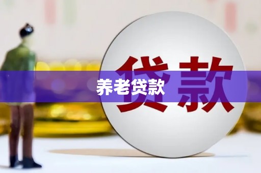 新店养老贷款
