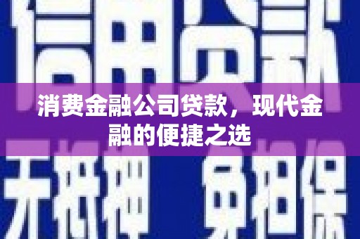 新店消费金融公司贷款，现代金融的便捷之选